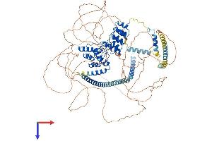 AlphaFold protein structure predicition of Human Recombinant PPP1R12A Protein, UniprotID O14974