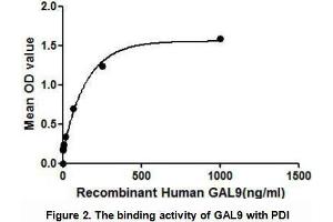 GAL9 (Galectin-9) belongs to the galectin family, which is defined by their binding specificity for β-galactoside sugars, such as N-acetyllactosamine (Galβ1-3GlcNAc or Galβ1-4GlcNAc). (Galectin 9 Protein (AA 1-355) (His tag,GST tag))