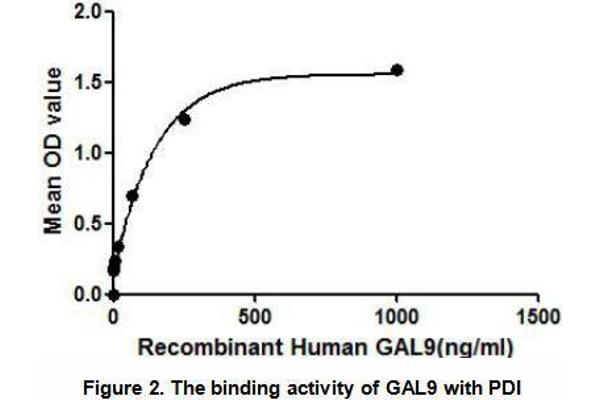 Galectin 9 Protein (AA 1-355) (His tag,GST tag)