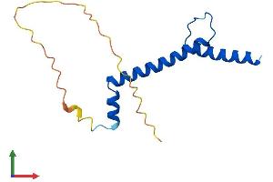AlphaFold protein structure predicition of Mouse Recombinant Nhlh1 Protein, UniprotID Q02576