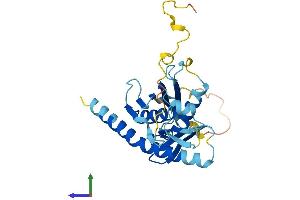AlphaFold protein structure predicition of Human Recombinant EXOSC6 Protein, UniprotID Q5RKV6