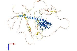 AlphaFold protein structure predicition of Human Recombinant RABL6 Protein, UniprotID Q3YEC7
