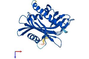AlphaFold protein structure predicition of Human Recombinant PCTP Protein, UniprotID Q9UKL6