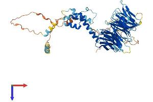 AlphaFold protein structure predicition of Mouse Recombinant Fbxw8 Protein, UniprotID Q8BIA4