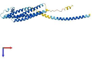AlphaFold protein structure predicition of Mouse Recombinant Stx1a Protein, UniprotID O35526
