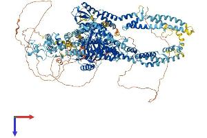 AlphaFold protein structure predicition of Mouse Recombinant Kdm5c Protein, UniprotID P41230
