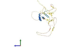 AlphaFold protein structure predicition of Mouse Recombinant Nkx6-1 Protein, UniprotID Q99MA9
