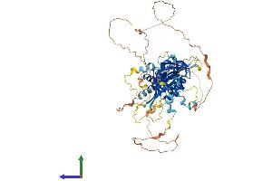 AlphaFold protein structure predicition of Mouse Recombinant Hif3a Protein, UniprotID Q0VBL6