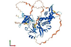 AlphaFold protein structure predicition of Human Recombinant KAT5 Protein, UniprotID Q92993
