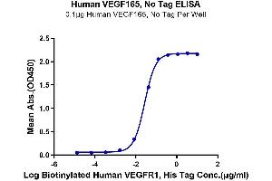 Immobilized Human VEGF165 at 1 μg/mL (100 μL/well) on the plate.