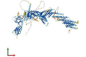 AlphaFold protein structure predicition of Human Recombinant CADPS Protein, UniprotID Q9ULU8