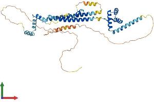 AlphaFold protein structure predicition of Mouse Recombinant Pbx3 Protein, UniprotID O35317
