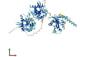 AlphaFold protein structure predicition of Human Recombinant GIMAP8 Protein, UniprotID Q8ND71