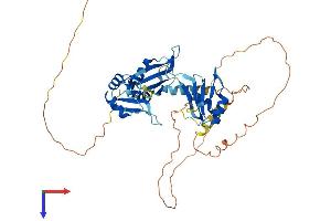 AlphaFold protein structure predicition of Mouse Recombinant Celf6 Protein, UniprotID Q7TN33
