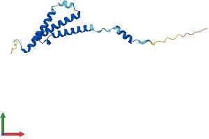 AlphaFold protein structure predicition of Mouse Recombinant C1d Protein, UniprotID O35473