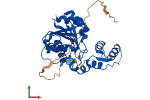 AlphaFold protein structure predicition of Mouse Recombinant Abhd11 Protein, UniprotID Q8K4F5