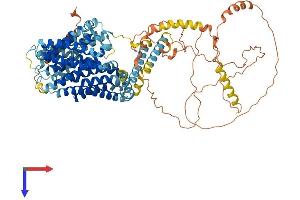 AlphaFold protein structure predicition of Mouse Recombinant Slc9a3 Protein, UniprotID G3X939