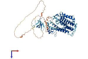 AlphaFold protein structure predicition of Human Recombinant LBR Protein, UniprotID Q14739