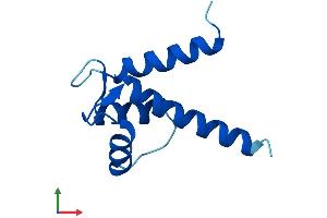 AlphaFold protein structure predicition of Human Recombinant S100A5 Protein, UniprotID P33763