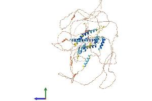 AlphaFold protein structure predicition of Human Recombinant CIZ1 Protein, UniprotID Q9ULV3