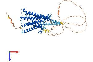 AlphaFold protein structure predicition of Human Recombinant CHRM1 Protein, UniprotID P11229