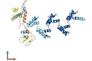 AlphaFold protein structure predicition of Human Recombinant ZNF25 Protein, UniprotID P17030