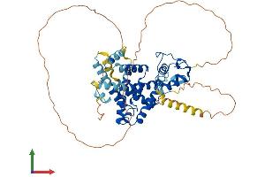 AlphaFold protein structure predicition of Human Recombinant NR1H4 Protein, UniprotID Q96RI1