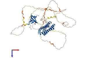 AlphaFold protein structure predicition of Human Recombinant EFS Protein, UniprotID O43281