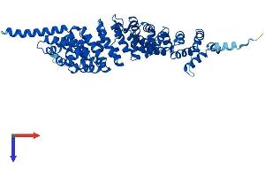 AlphaFold protein structure predicition of Human Recombinant SPAG6 Protein, UniprotID O75602