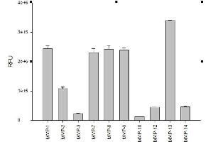 SensoLyte® 520 Generic MMP Activity Kit
