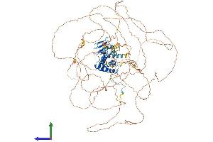 AlphaFold protein structure predicition of Human Recombinant TOPORS Protein, UniprotID Q9NS56