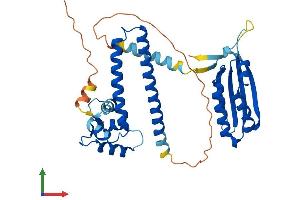 AlphaFold protein structure predicition of Human Recombinant NECAB1 Protein, UniprotID Q8N987