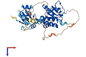 AlphaFold protein structure predicition of Human Recombinant DUSP1 Protein, UniprotID P28562