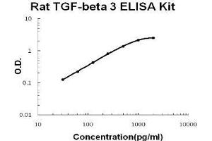 Rat TGF-beta 3 PicoKine ELISA Kit standard curve (TGFB3 Kit ELISA)