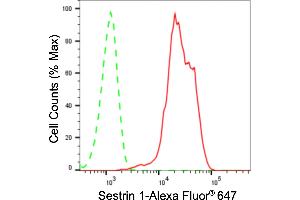 Flow cytometric analysis of Sestrin 1 expression in HeLa cells using Sestrin 1 antibody (ABIN7800321), 1:2,000).