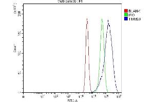 Flow Cytometry analysis of MCF-7 cells using anti-TIMM29 antibody (ABIN7601495). (TIMM29 anticorps  (AA 37-260))