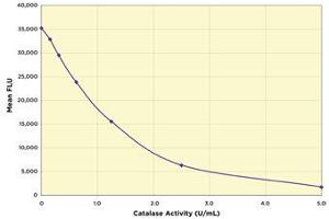 Catalase Fluorescent Activity Kit
