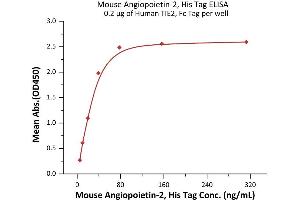 Immobilized Human TIE2, Fc Tag (ABIN6992355) at 2 μg/mL (100 μL/well) can bind Mouse Angiopoietin-2, His Tag (ABIN6992353) with a linear range of 2-39 ng/mL (QC tested).