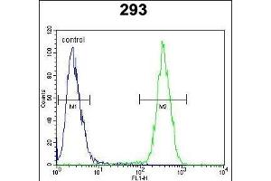 CLPX Antibody (C-term) (ABIN654723 and ABIN2844412) flow cytometric analysis of 293 cells (right histogram) compared to a negative control cell (left histogram).