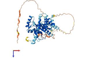 AlphaFold protein structure predicition of Human Recombinant UBE2Q1 Protein, UniprotID Q7Z7E8