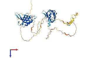 AlphaFold protein structure predicition of Mouse Recombinant Dok2 Protein, UniprotID O70469