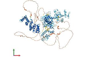 AlphaFold protein structure predicition of Human Recombinant ZC3H7A Protein, UniprotID Q8IWR0