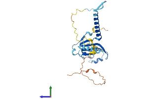 AlphaFold protein structure predicition of Human Recombinant MED6 Protein, UniprotID O75586