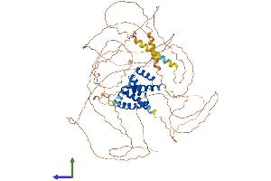 AlphaFold protein structure predicition of Human Recombinant POU2F1 Protein, UniprotID P14859