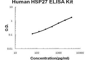 Human HSP27 PicoKine ELISA Kit standard curve