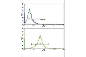 Flow Cytometry (FACS) image for anti-Calcium Channel, Voltage-Dependent, gamma Subunit 5 (CACNG5) antibody (ABIN3002719)