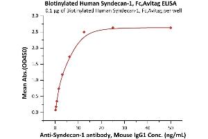 Immobilized Biotinylated Human Syndecan-1, Fc,Avitag (ABIN6973274) at 1 μg/mL (100 μL/well) on streptavidin  (0.