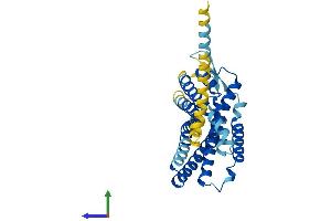 AlphaFold protein structure predicition of Human Recombinant GPR65 Protein, UniprotID Q8IYL9