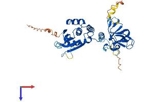 AlphaFold protein structure predicition of Mouse Recombinant Dusp12 Protein, UniprotID Q9D0T2