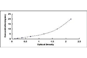 Typical standard curve (PCSK2 Kit ELISA)